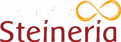 Steineria Studio  - Camisetas e produtos personalizados