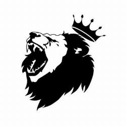 Lyons_oficial - Camisetas e produtos personalizados