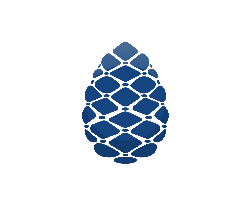 Pinha - Camisetas e produtos personalizados