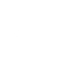 Vex - Camisetas e produtos personalizados