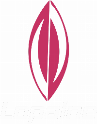 Lopaine - Camisetas e produtos personalizados