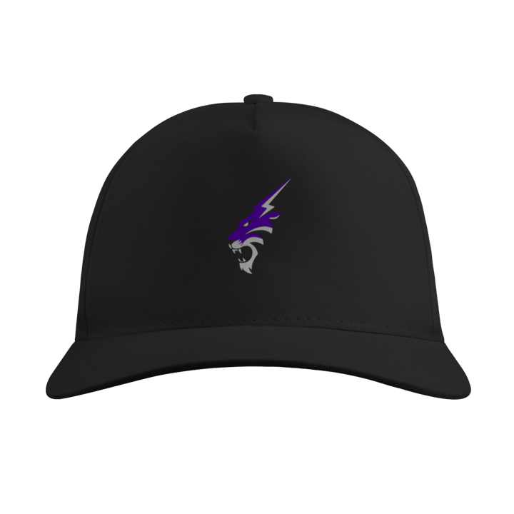 BONÉ RUGIDO 26 ROXO