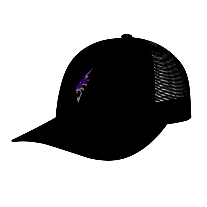 BONÉ RUGIDO 26 ROXO COM TELA