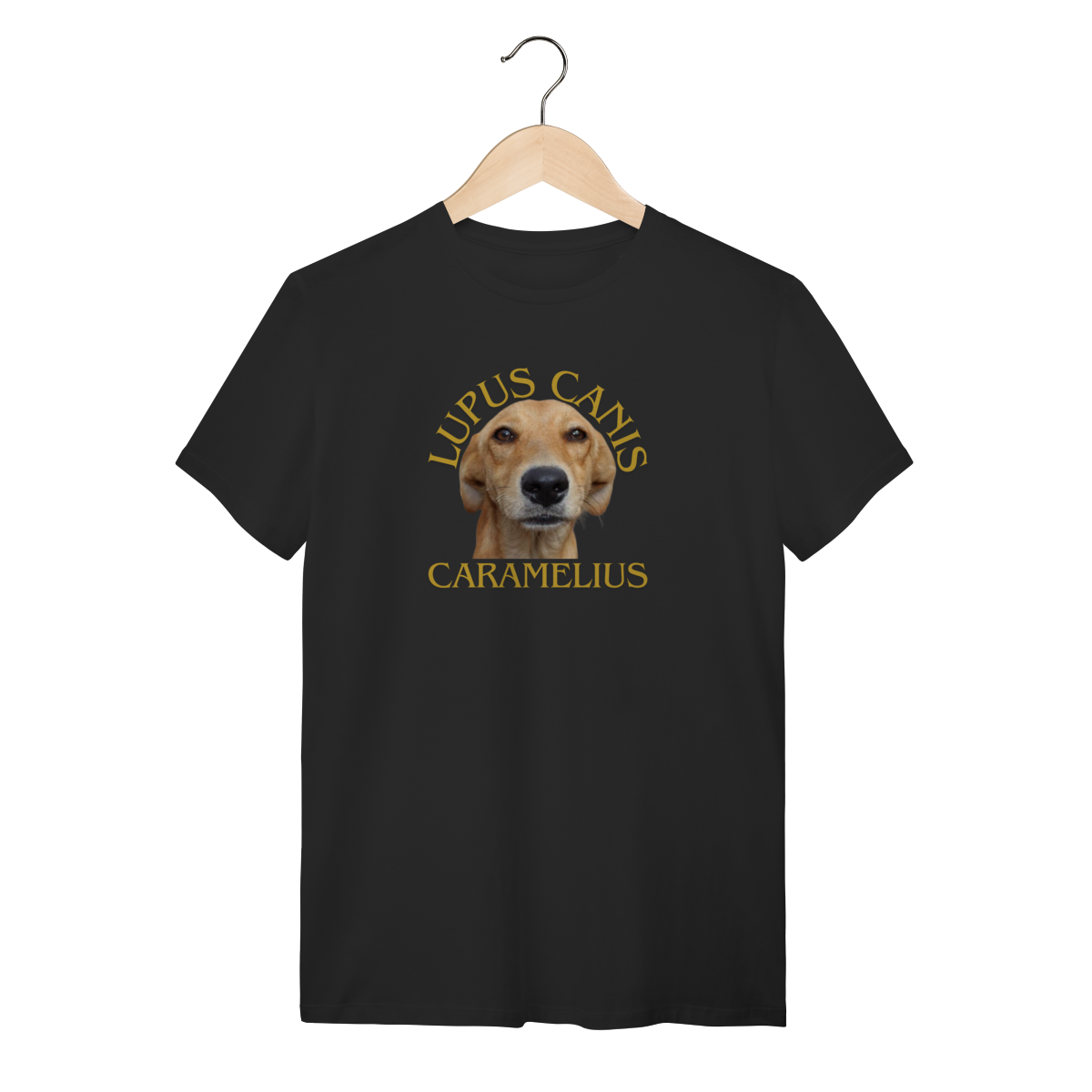 LUPUS CANIS CARAMELIUS: A Espécie Mais Amada do Brasil