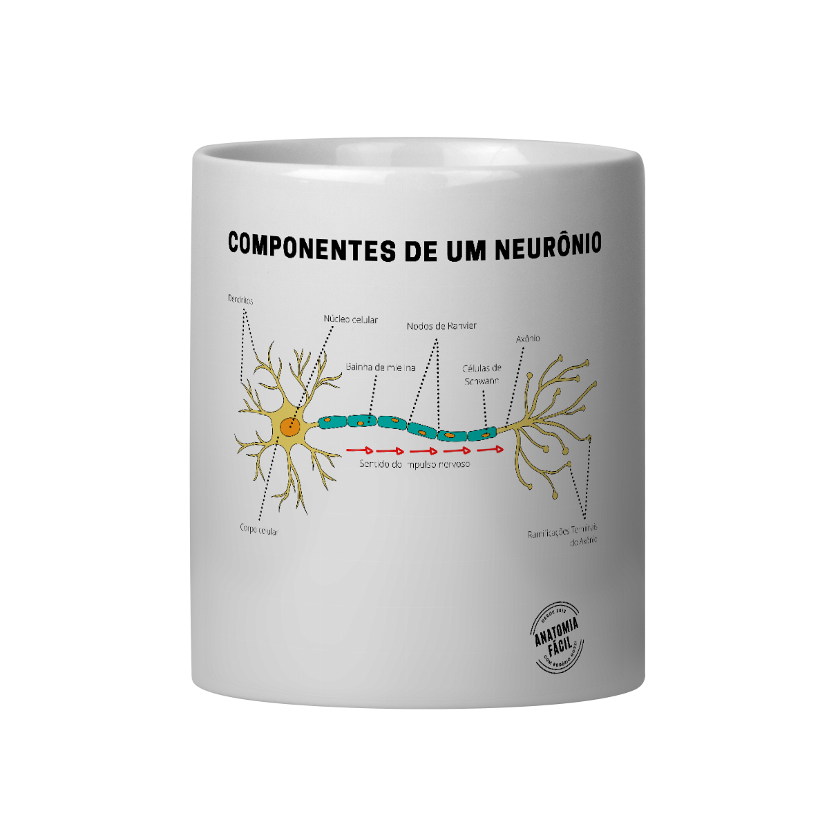 Caneca Componentes