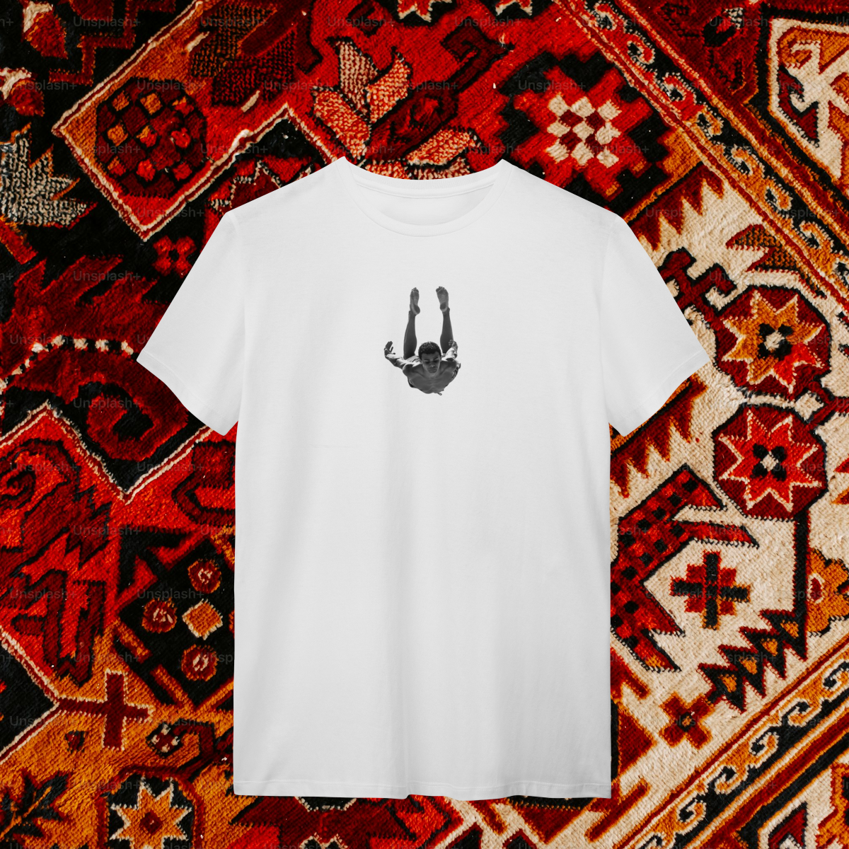 Camiseta Fotografia Cisne