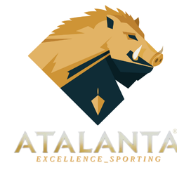 CAMISA DRY FIT MANGA LONGA