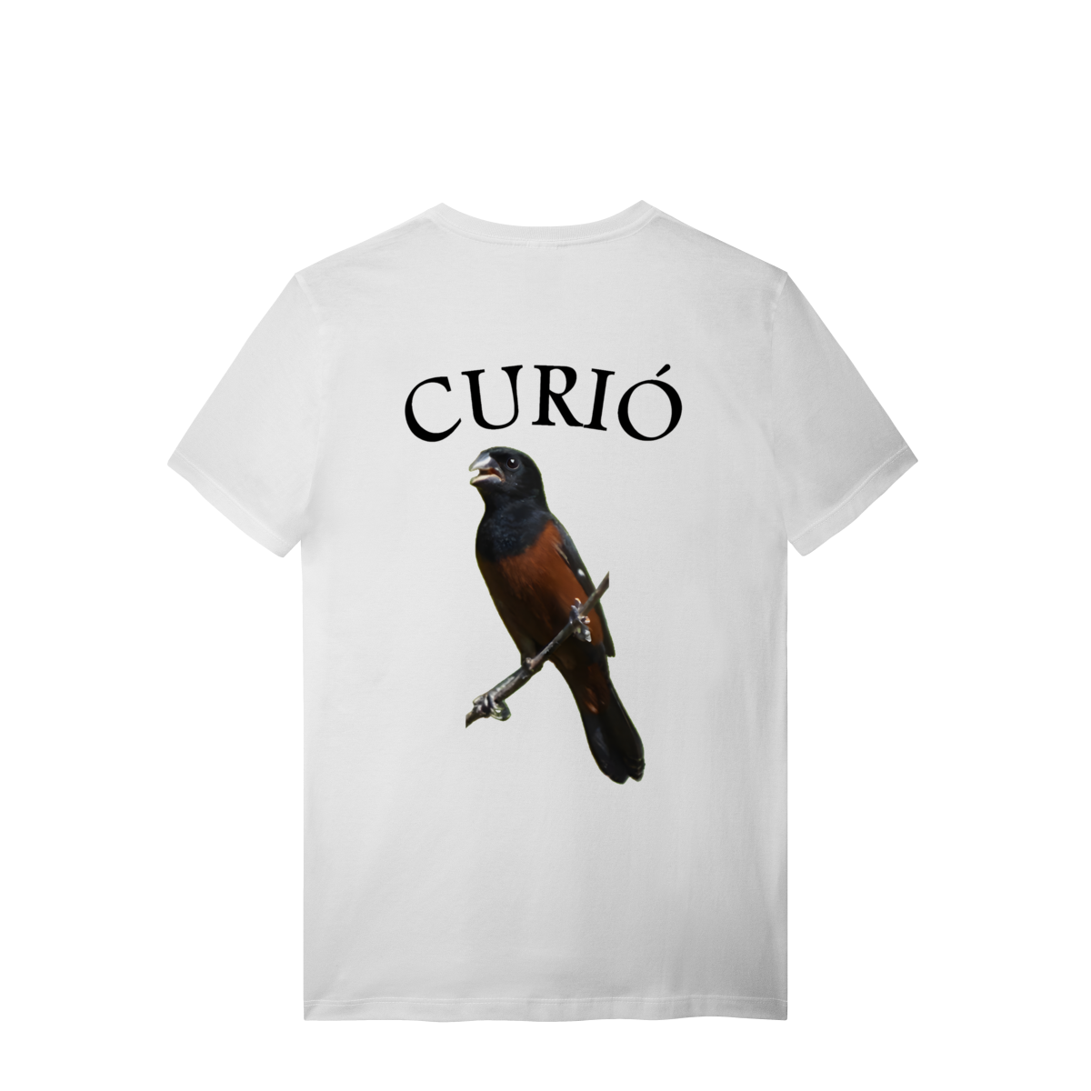 CAMISETA QUALITY CURIÓ ESTAMPA COSTAS