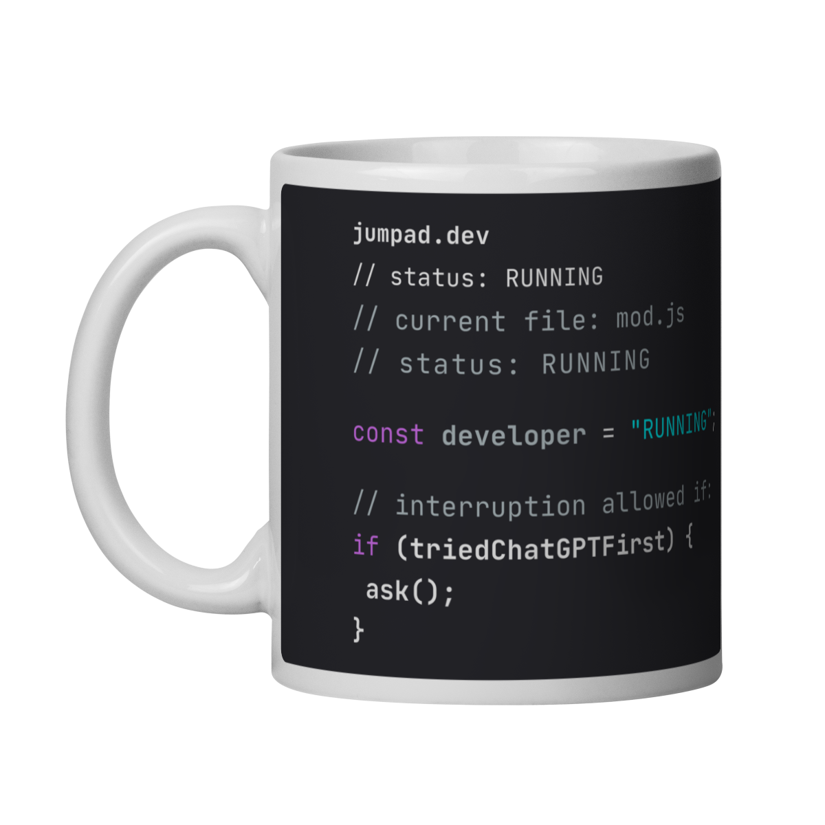Do not disturb the developer - Ceramic Mug