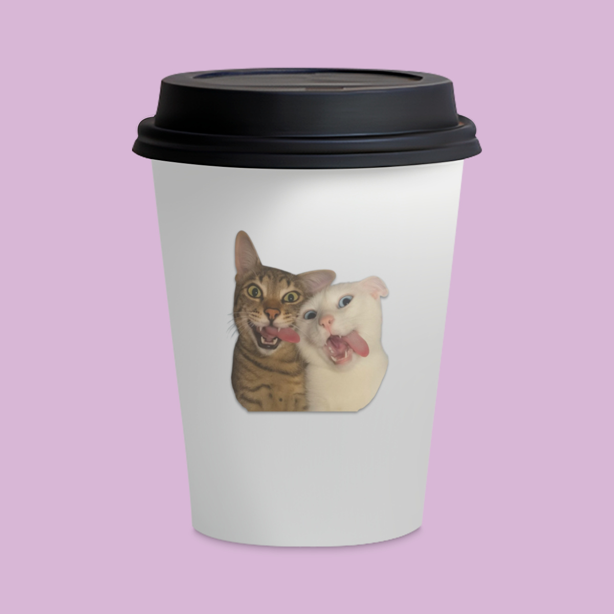 Copo Cerâmica - Gatinhos Engraçados