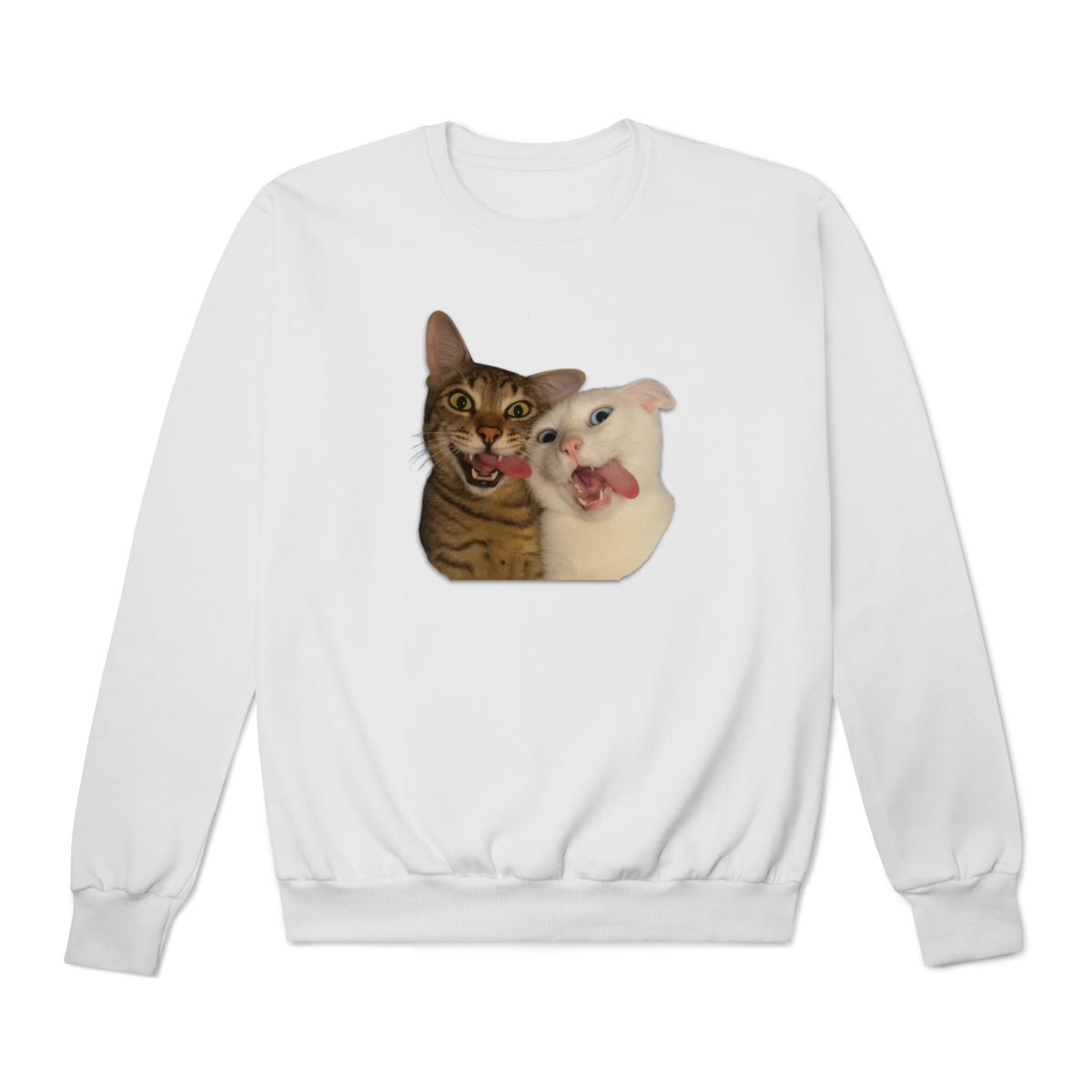 Moletom - Gatinhos Engraçados