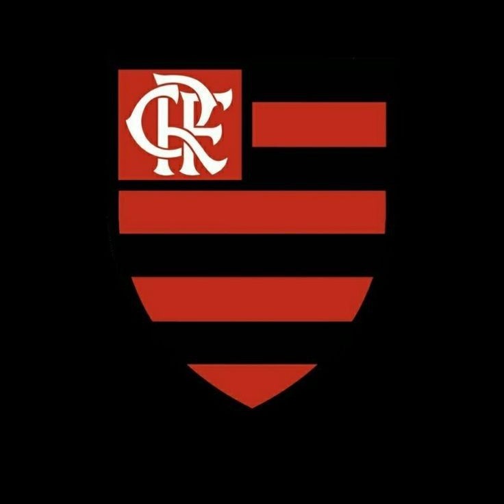 Camisa flamengo