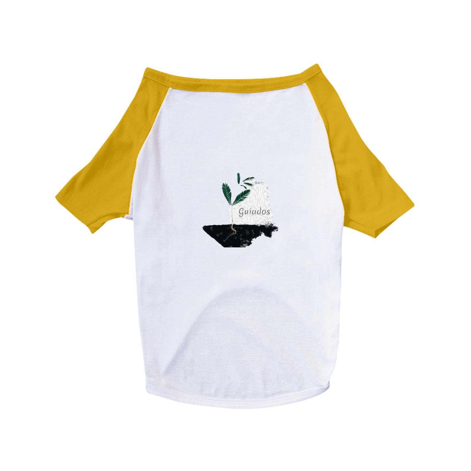 Nome do produto  Dog Guiados 