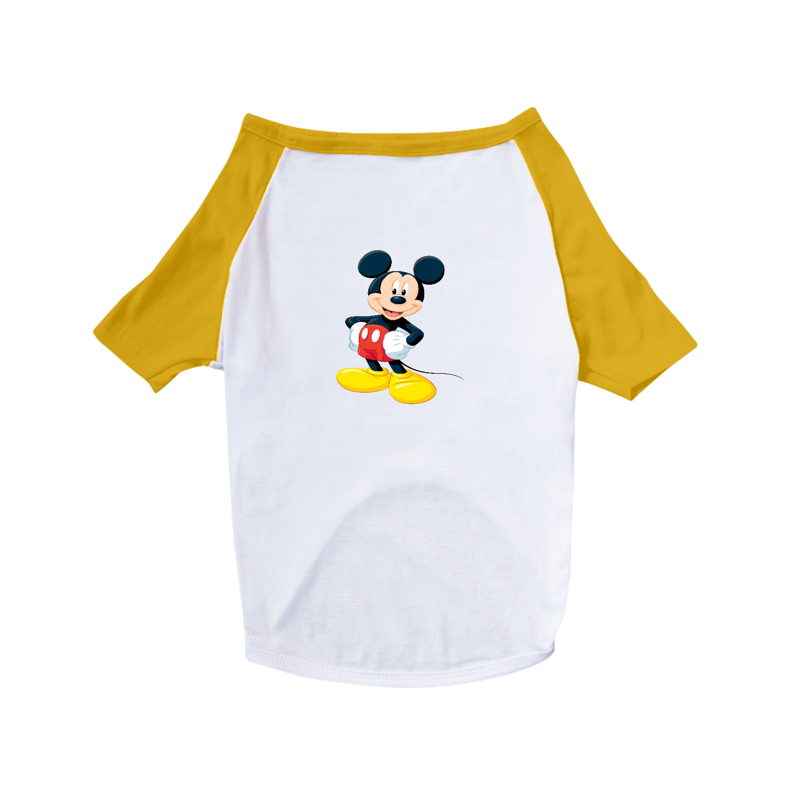 Nome do produto  Dog