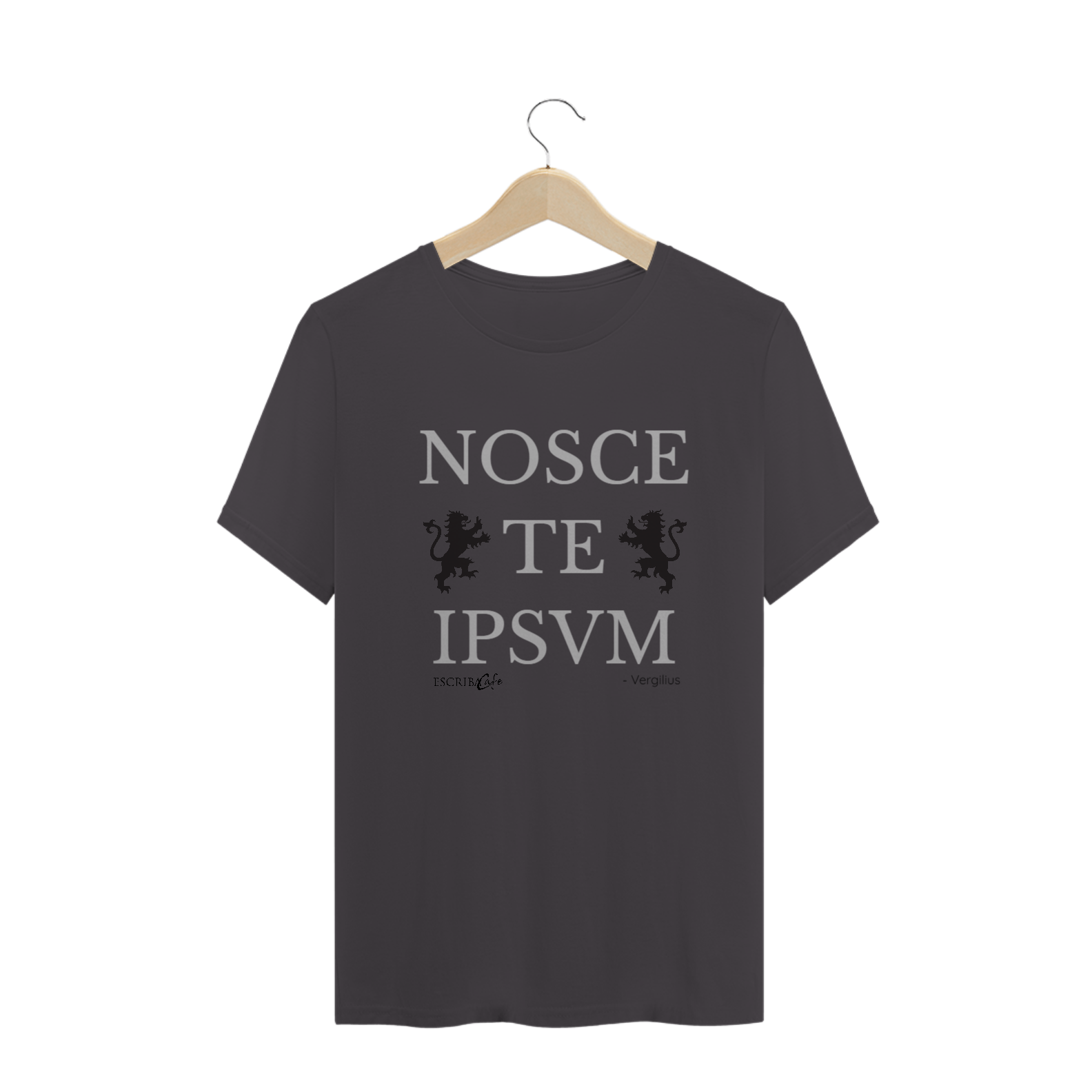 Camiseta envelhecida Nosce Te Ipsum B