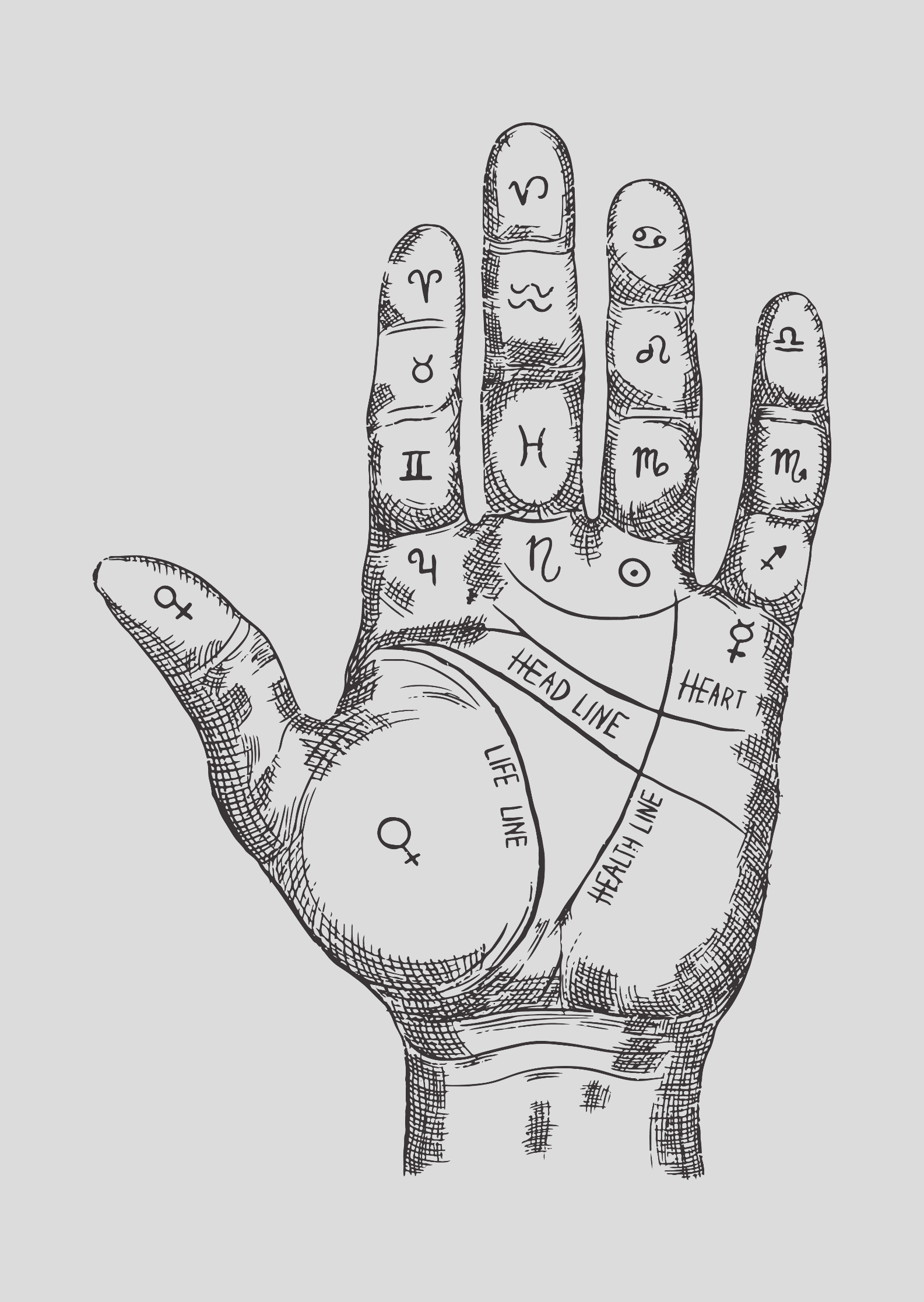 Nome do produto  Poster Quirologia