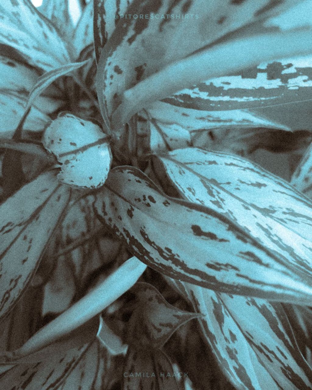 Nome do produto  Alinhamento