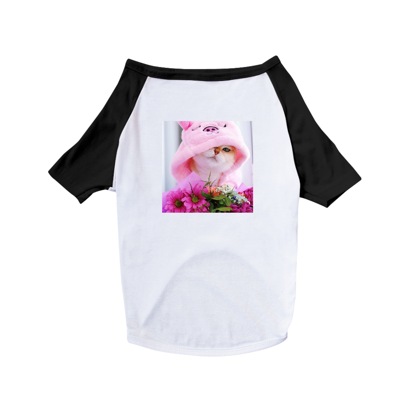 Nome do produto  gatinho fofo