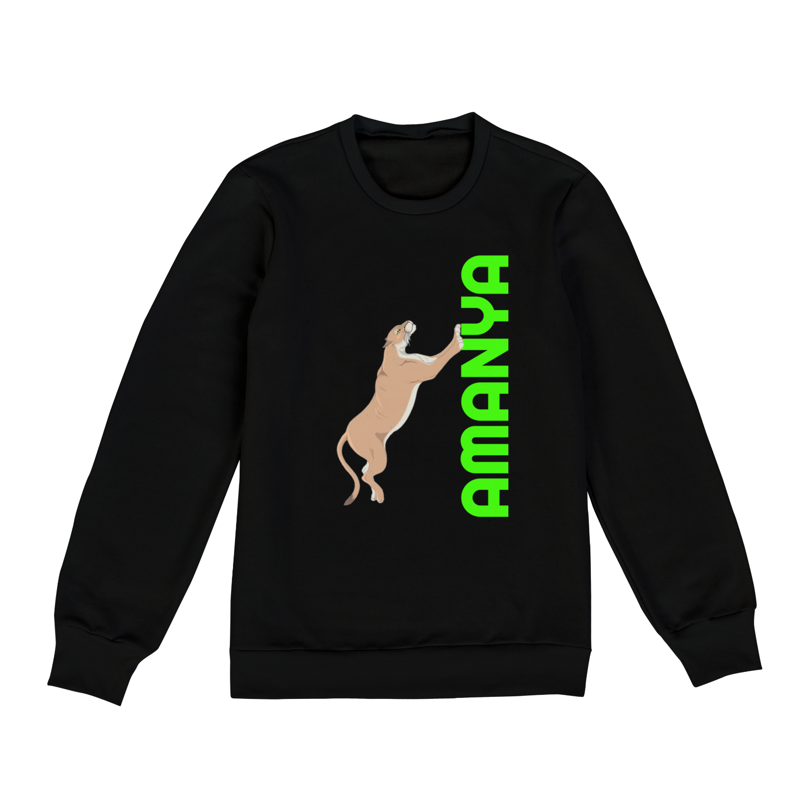 MOLETOM UNISSEX PUMA AMANYA