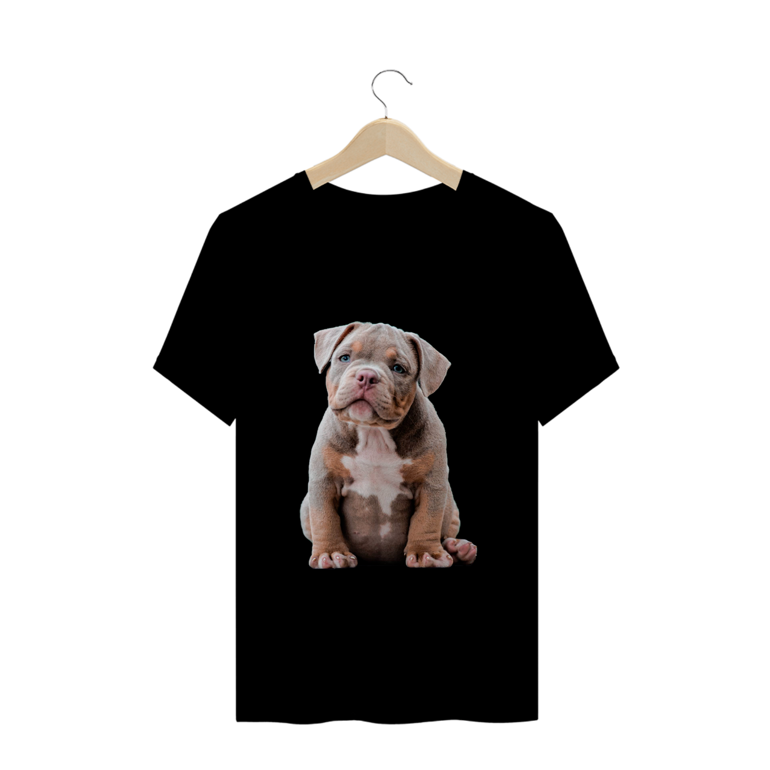 Canil Generoso Bully