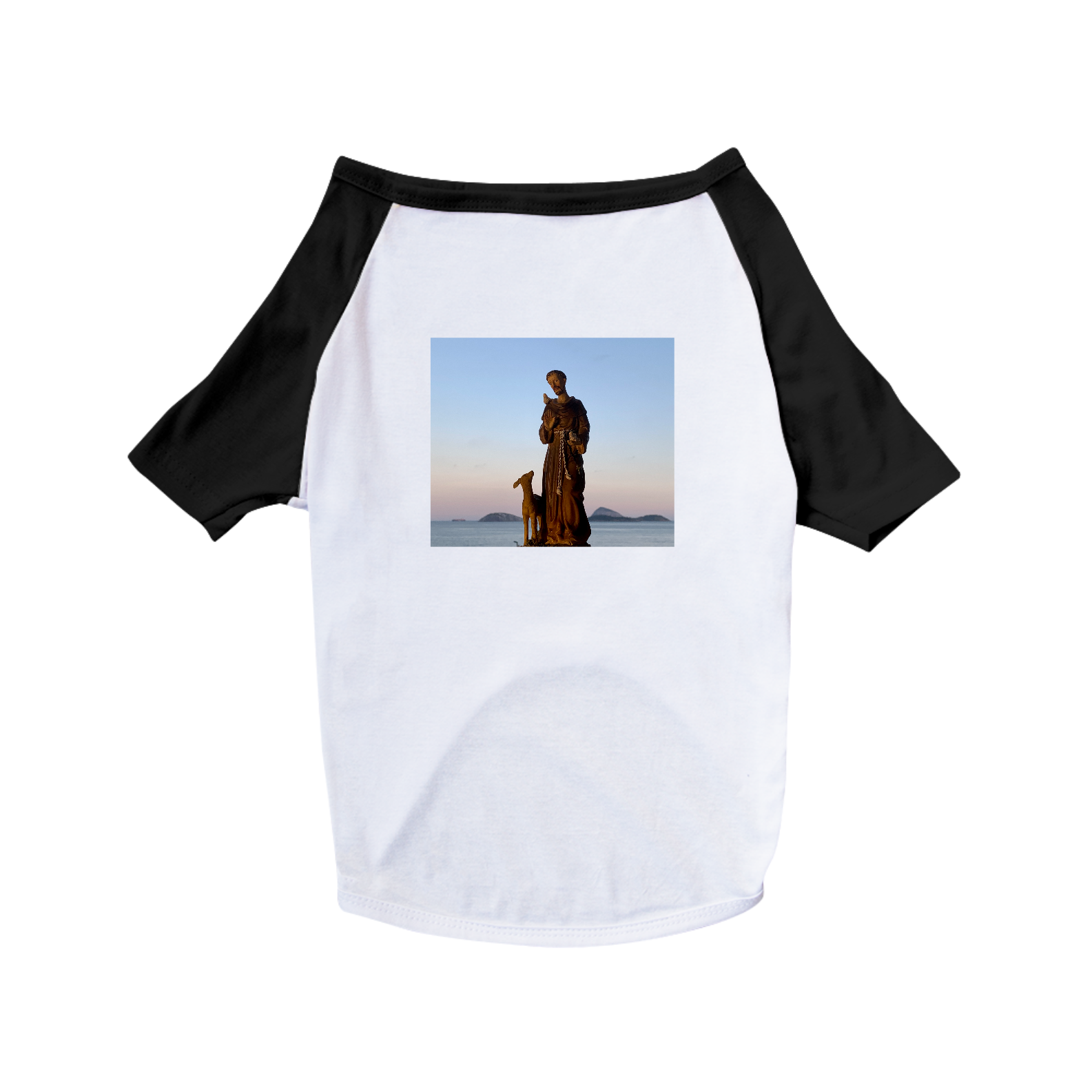 Roupa Pet São Francisco