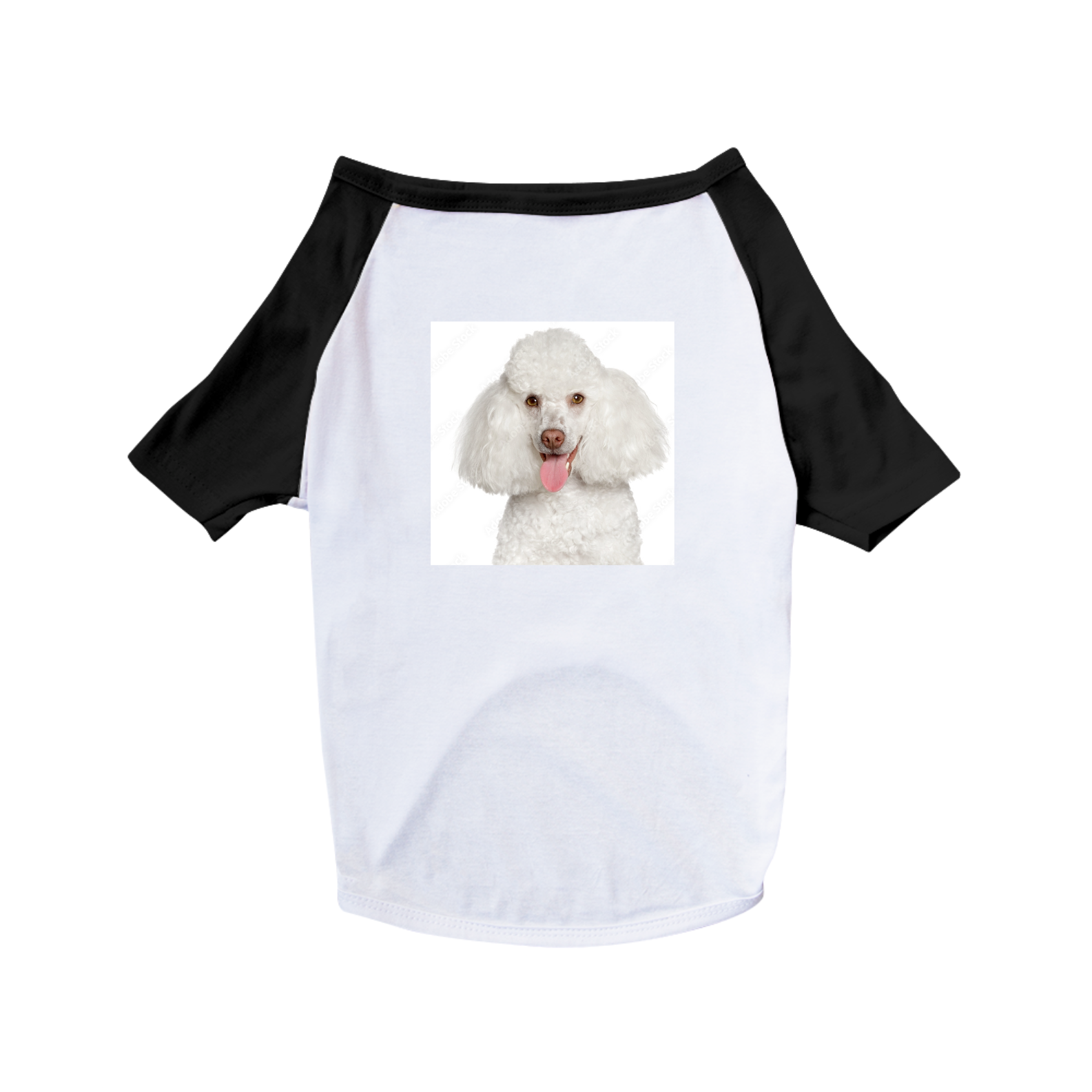 Nome do produto  CAMISA PET DOG