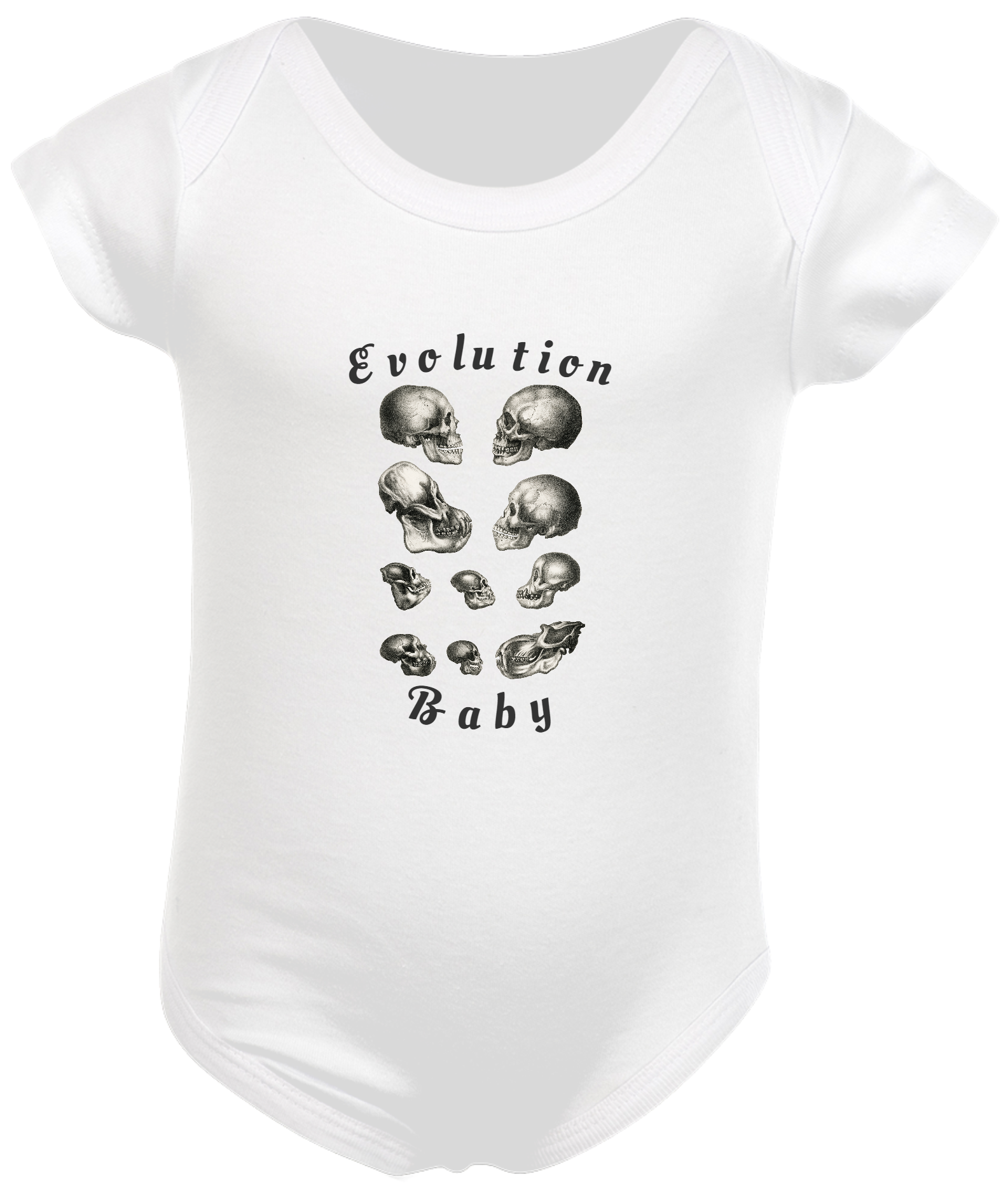 Nome do produto  Evolução Baby