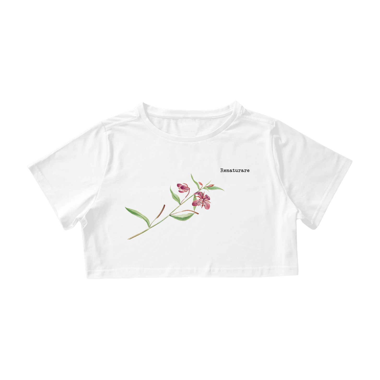 Nome do produto  Erva do fogo anã