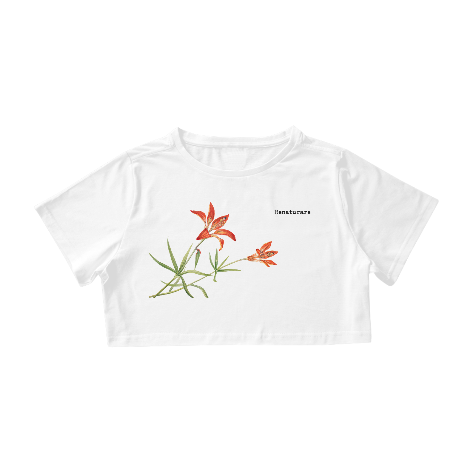 Nome do produto  Lírio da montanha