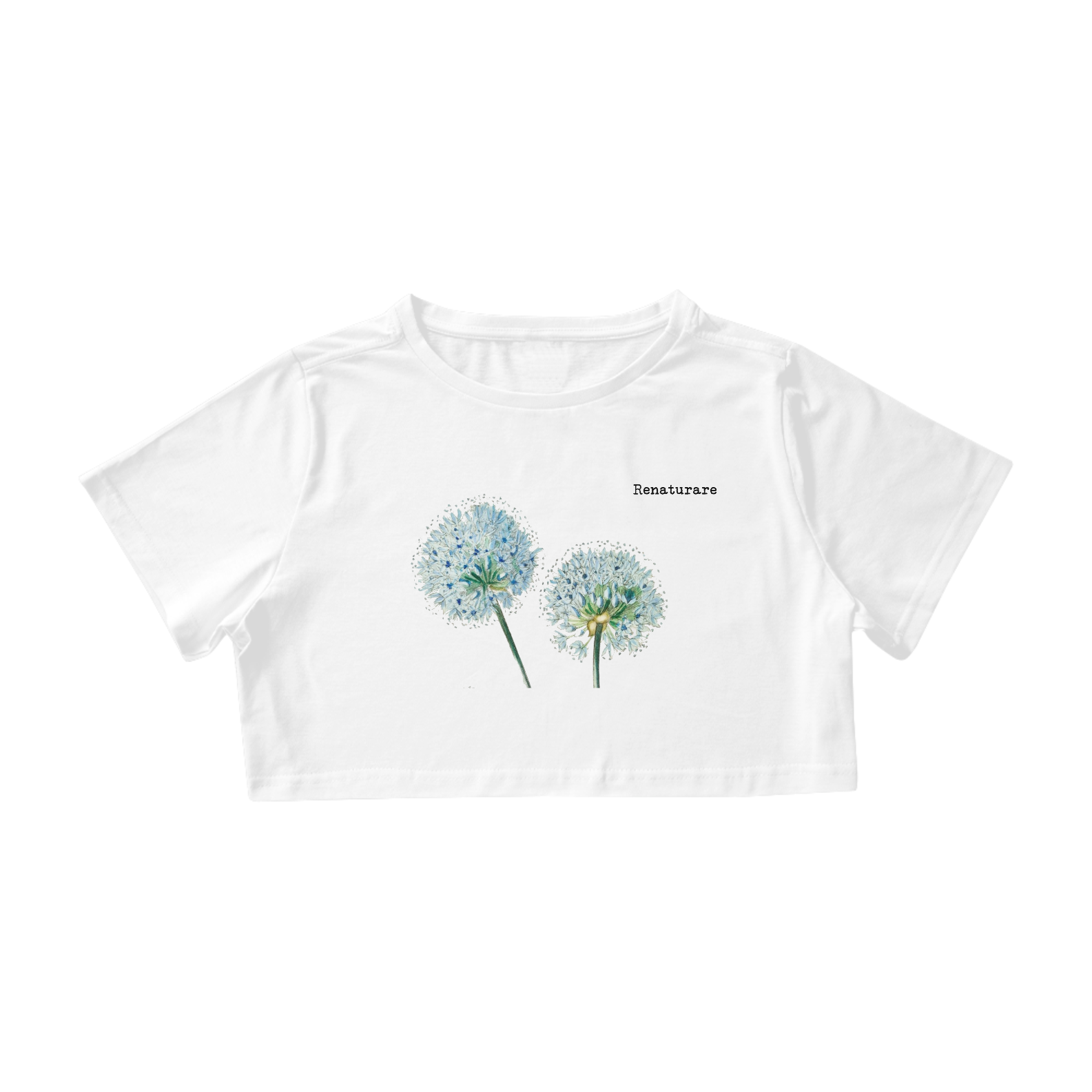 Nome do produto  Dente de leão