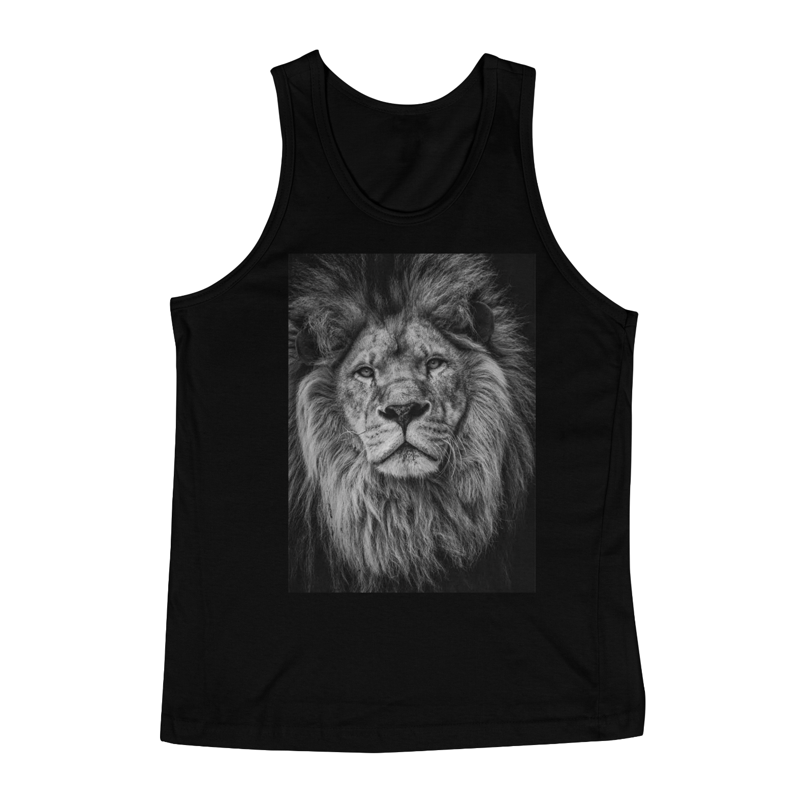 Nome do produto  Lion