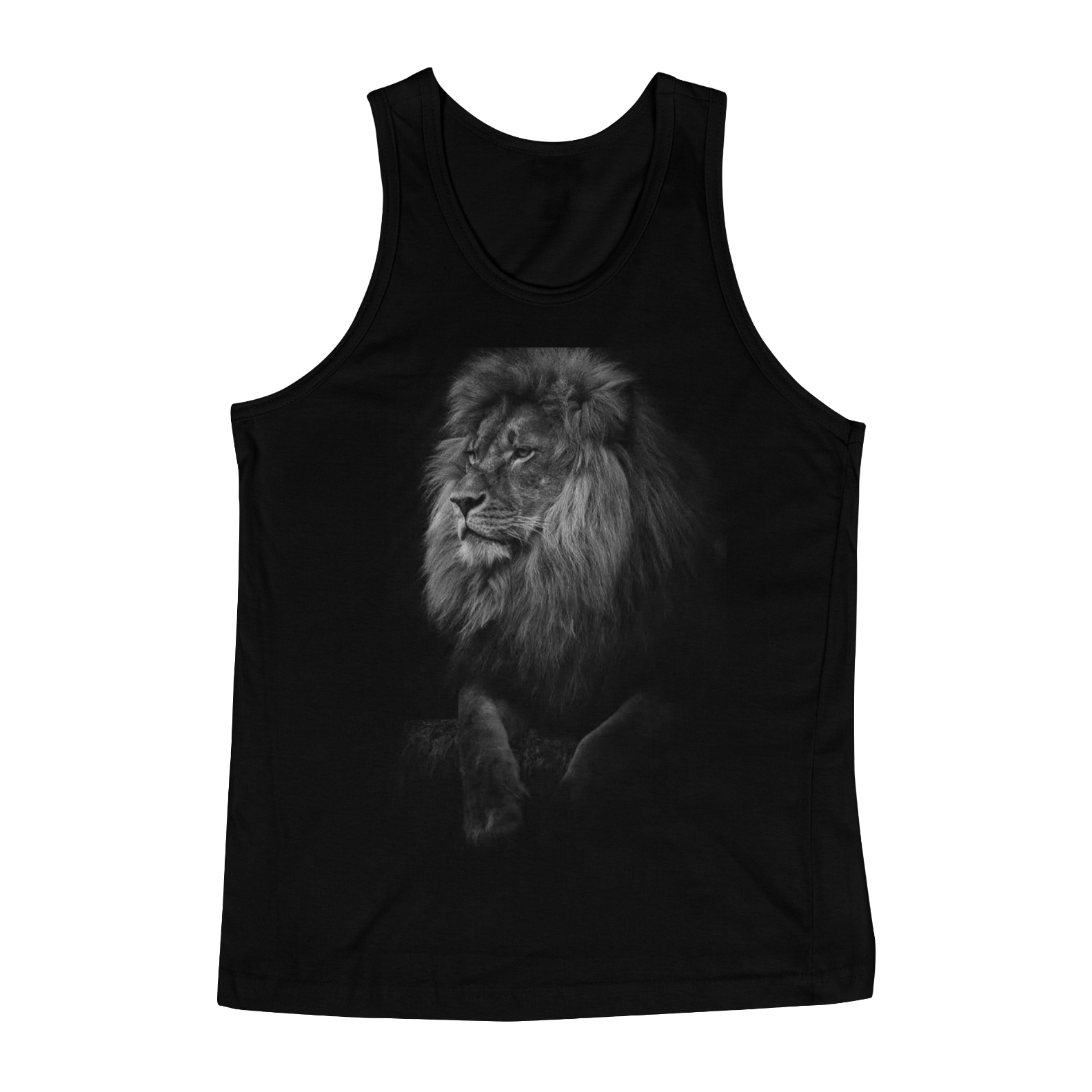 Nome do produto  Lion King  2