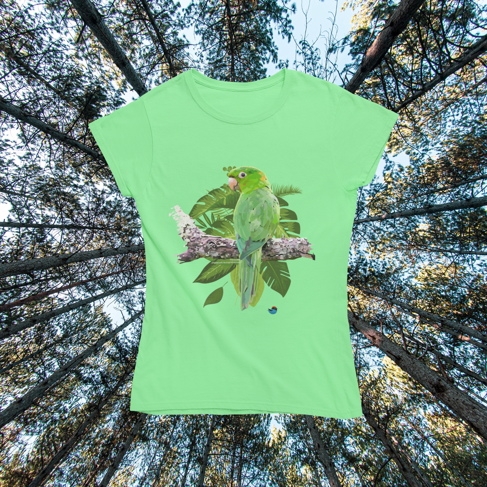 Nome do produto  Baby long - Periquitão (Psittacara leucophthalmus)