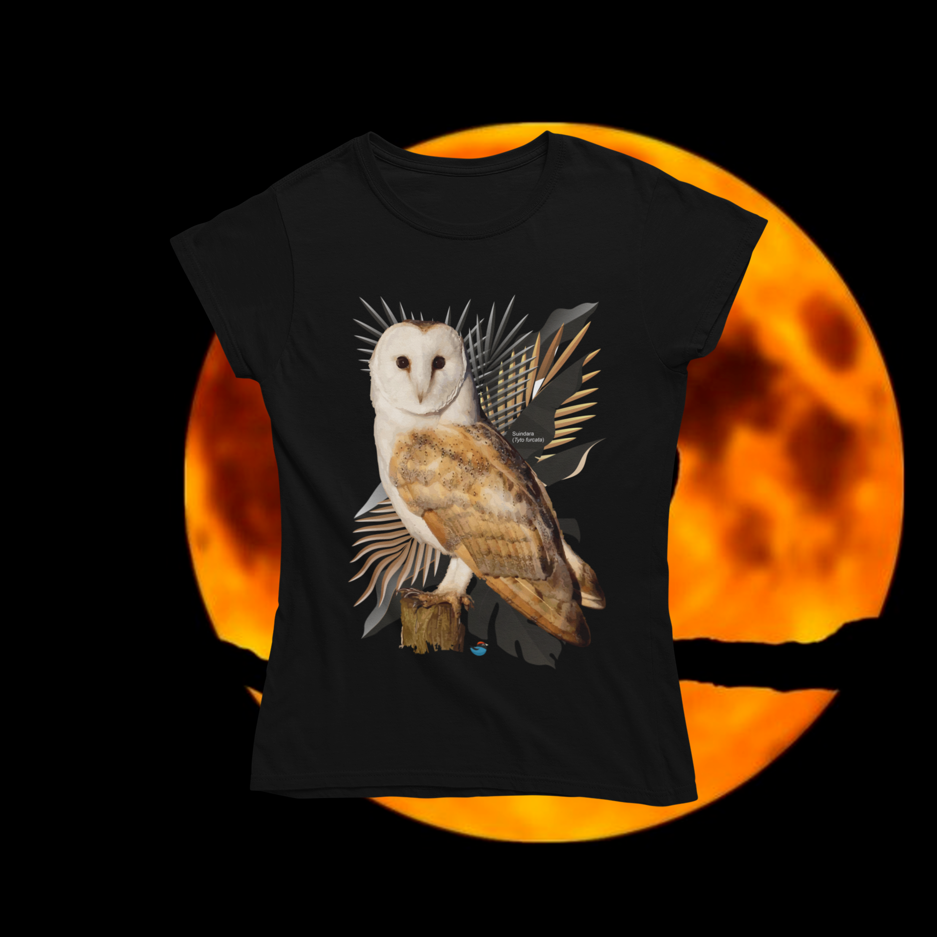 Nome do produto: Baby long - suindara (Tyto furcata)