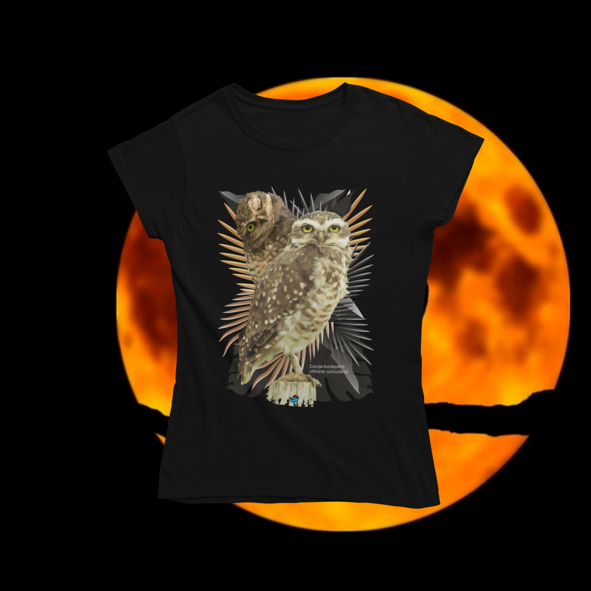 Baby long - coruja-buraqueira (Athene cunicularia)