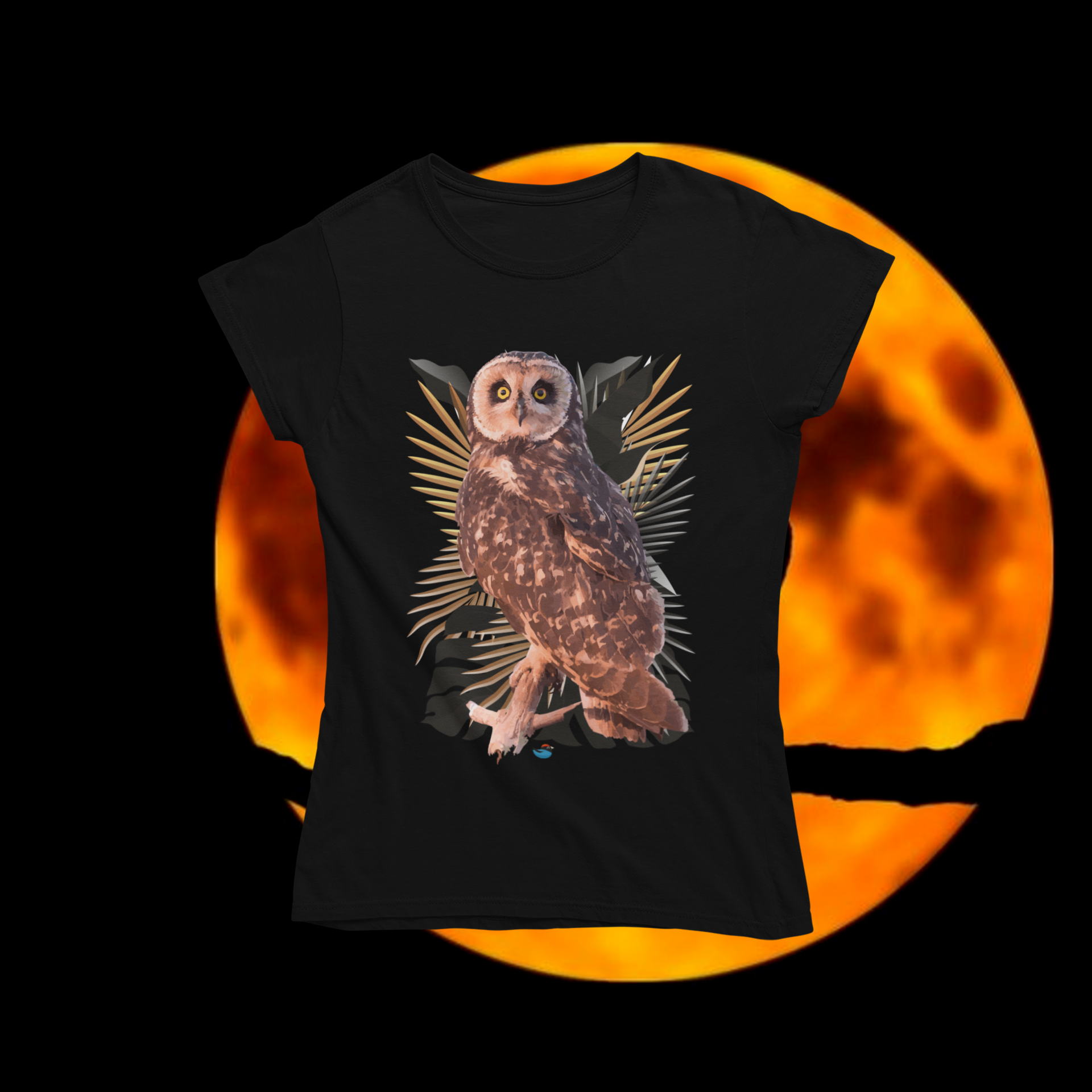 Baby long - mocho-dos-banhados (Asio flammeus)