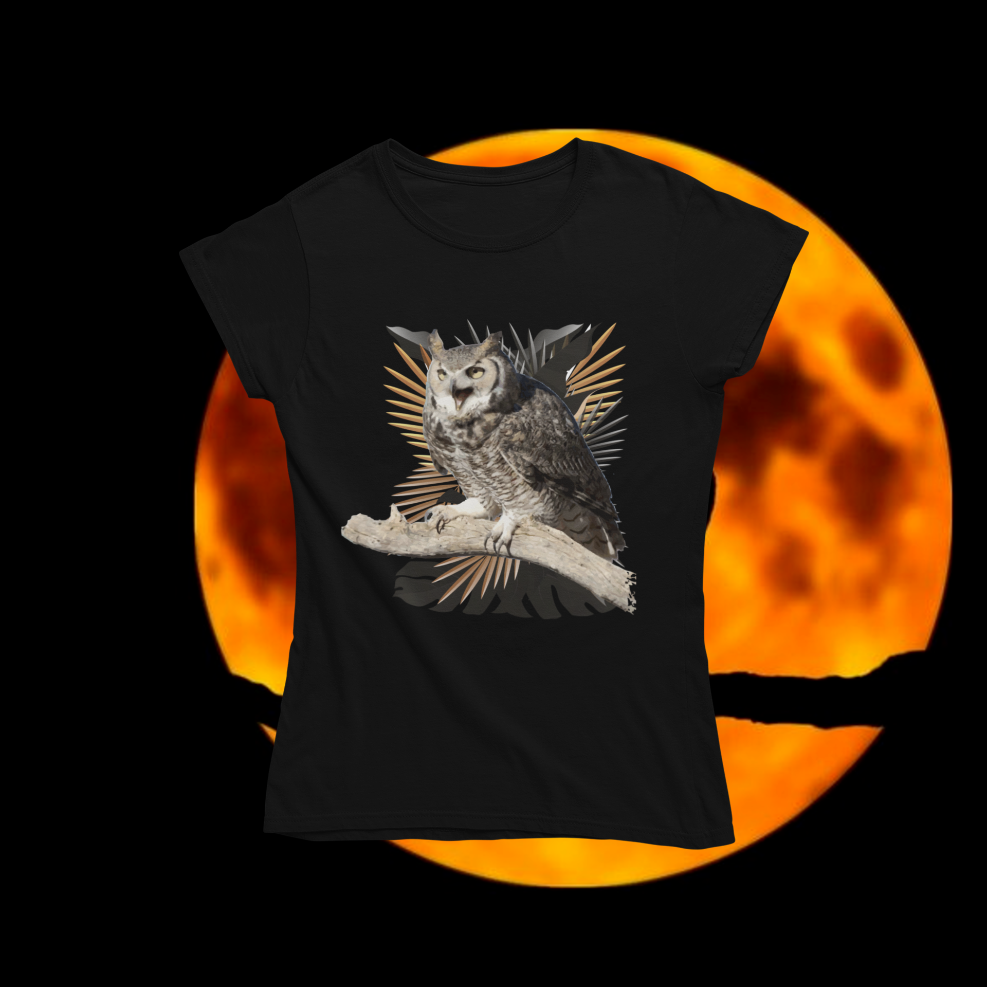  Baby long - jacurutu (Bubo virginianus)