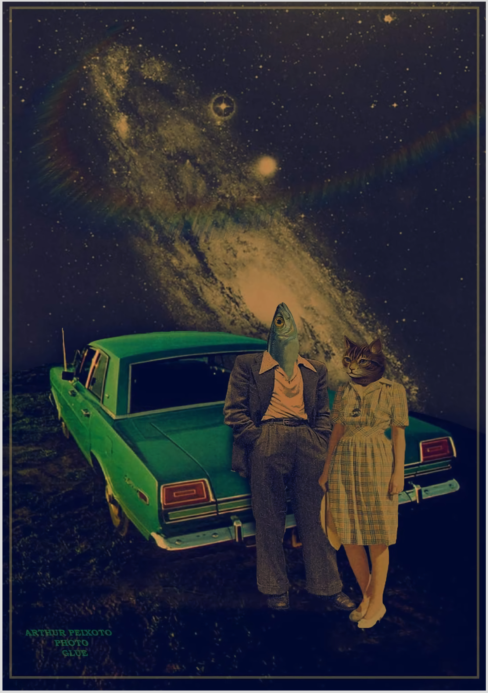 Pôster Cat & Fish 2