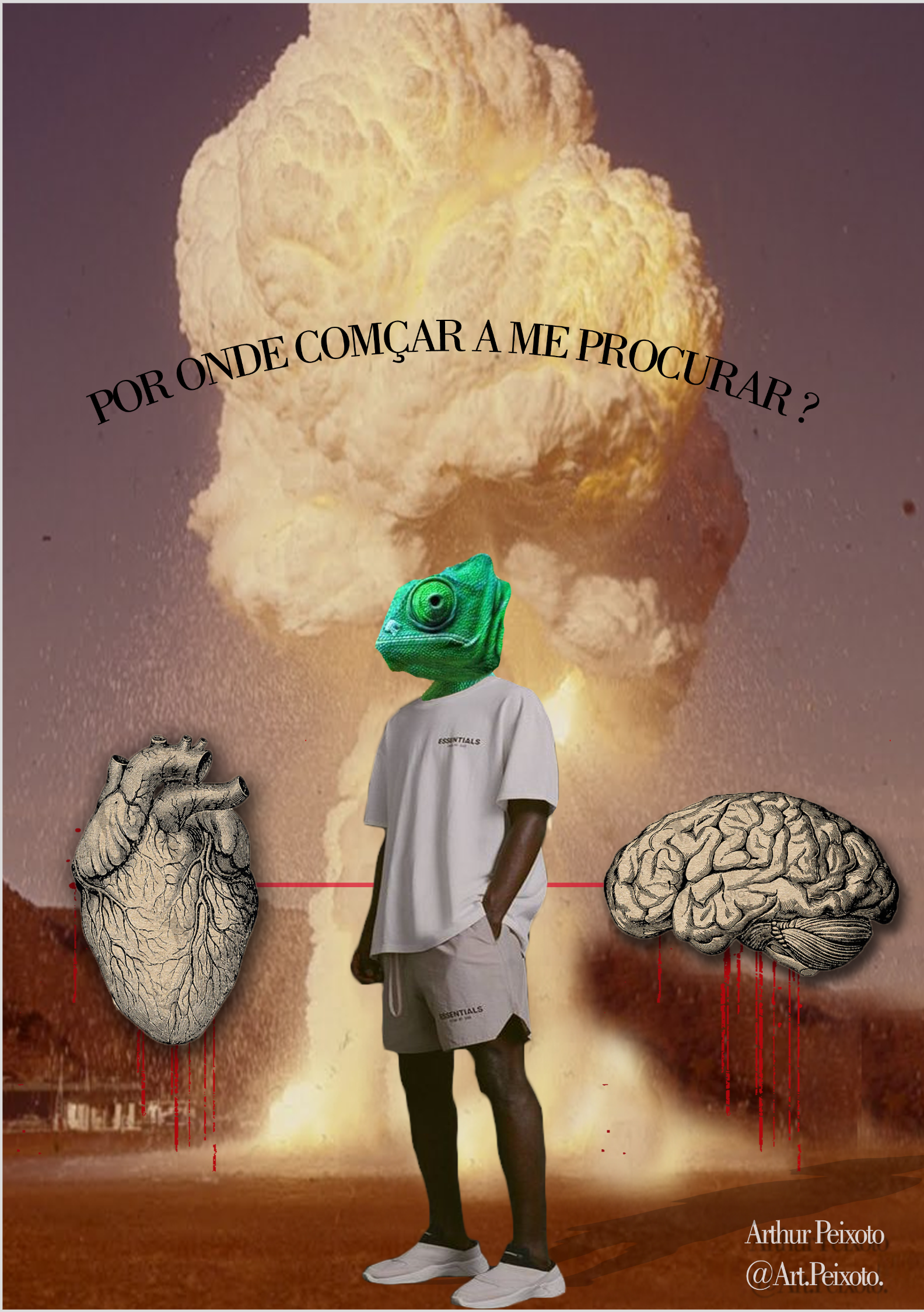 Pôster Calango Decissões