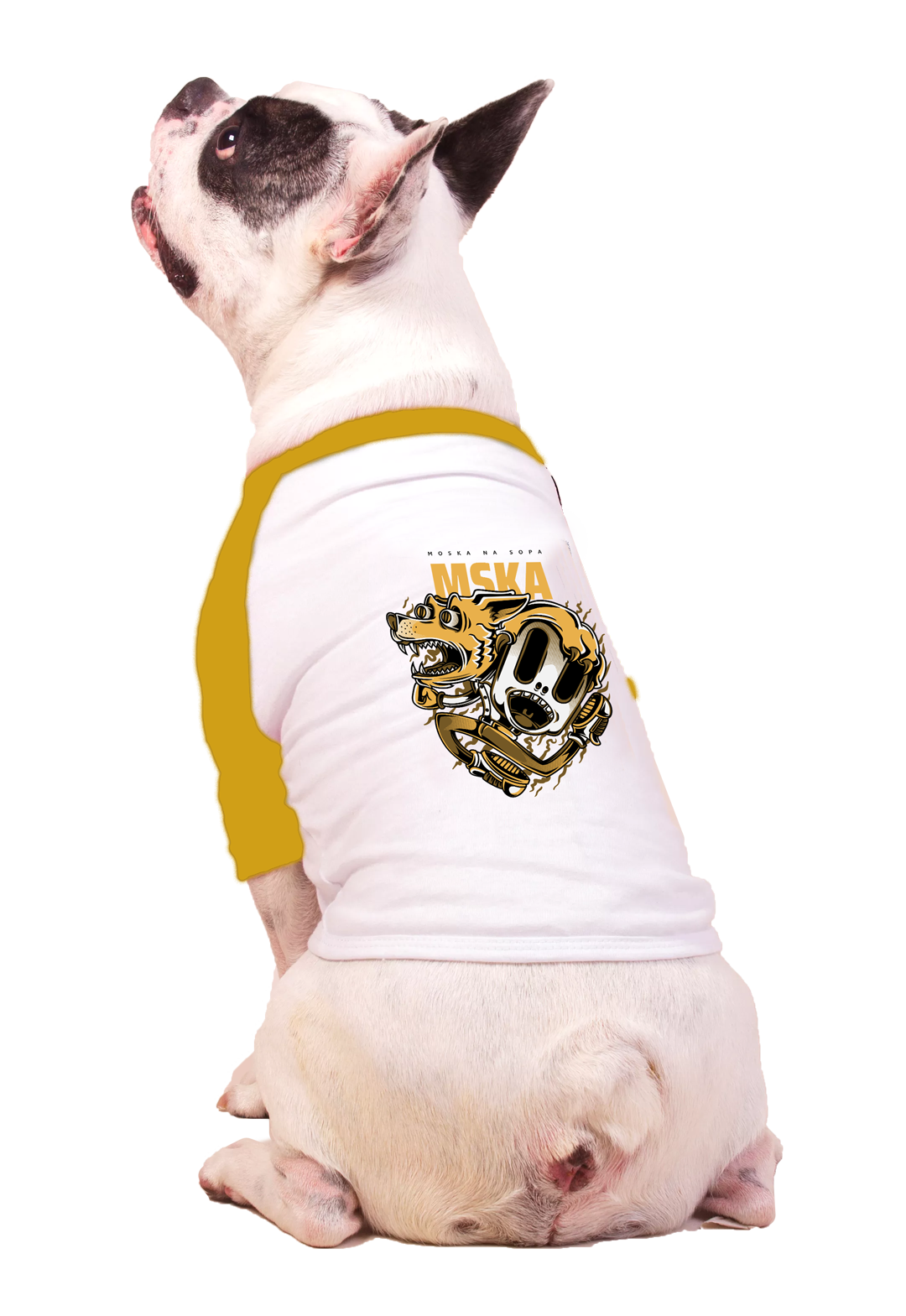 Camiseta Pet Raglan MSKA