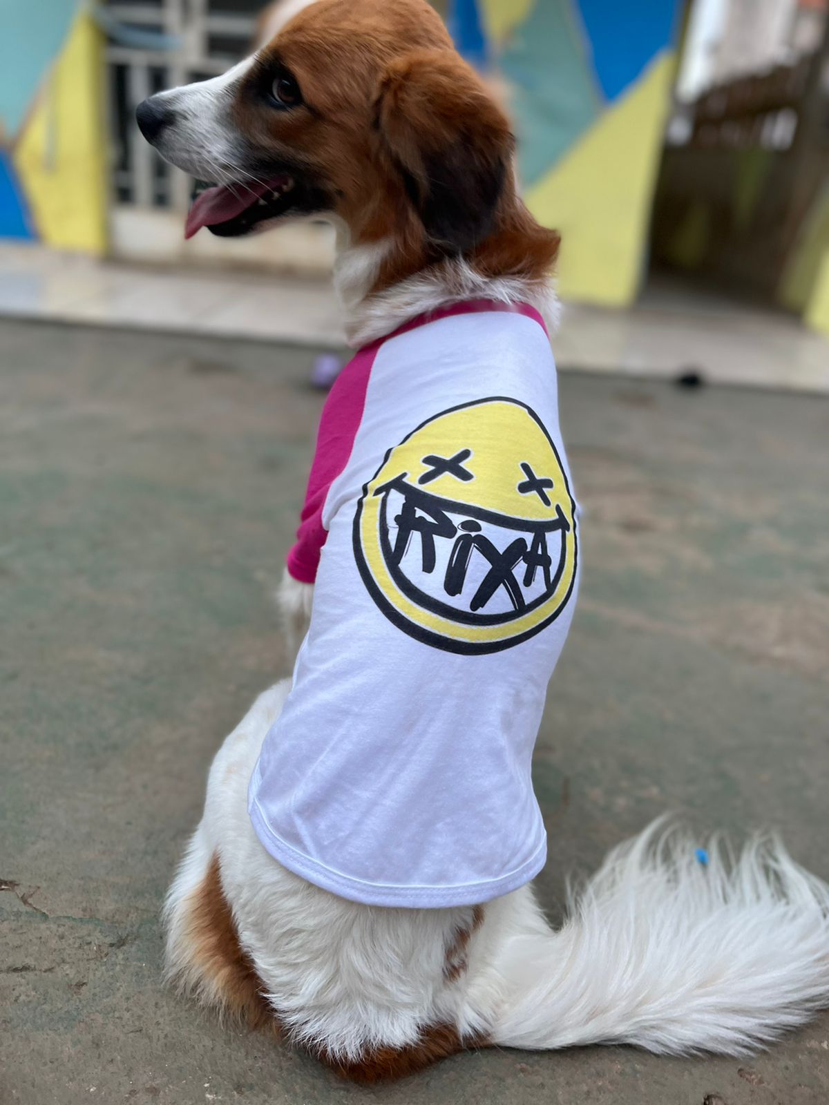 Camisa Pet Dog - Smile Color