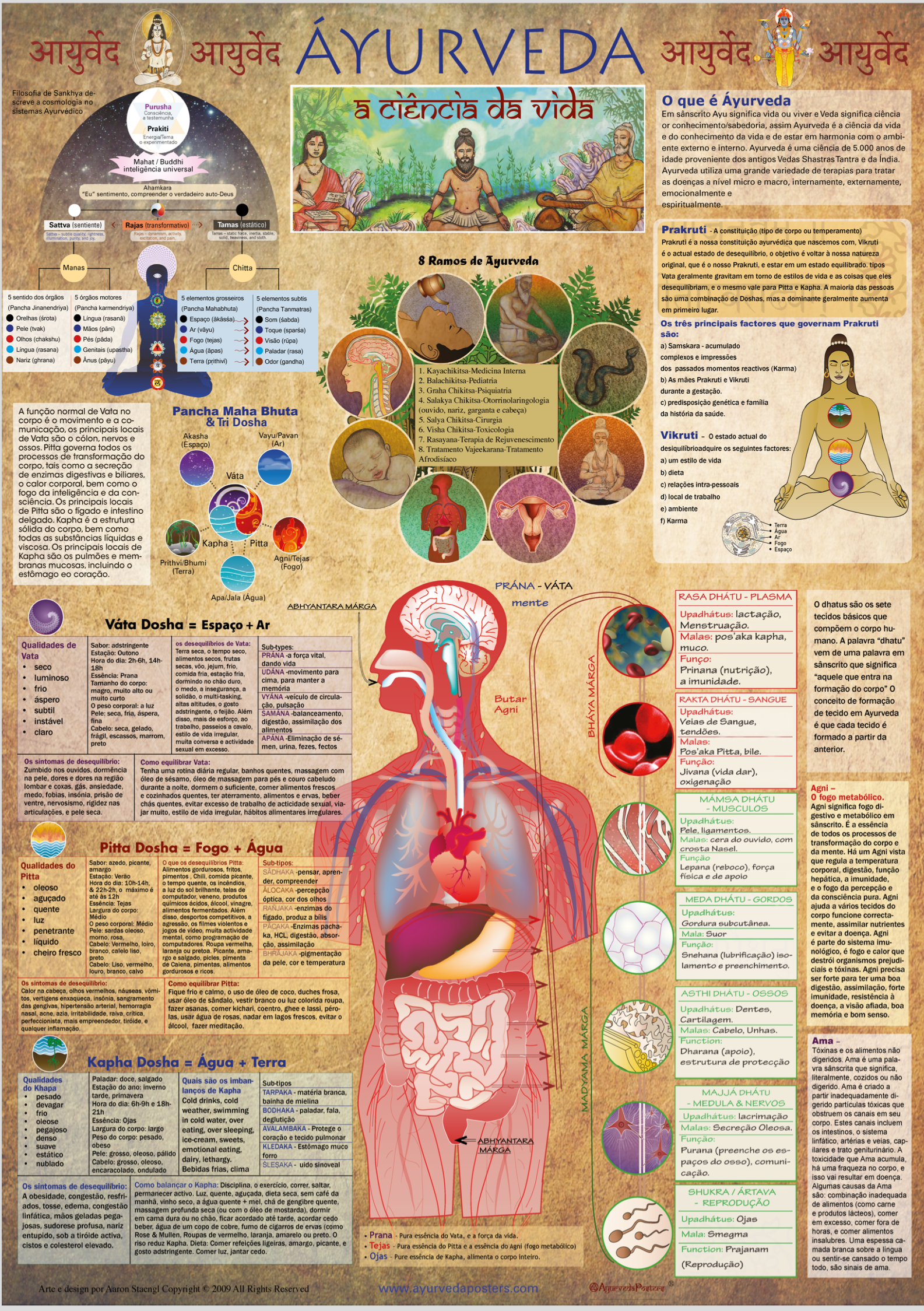 Poster Ayurveda Ciência da VIda