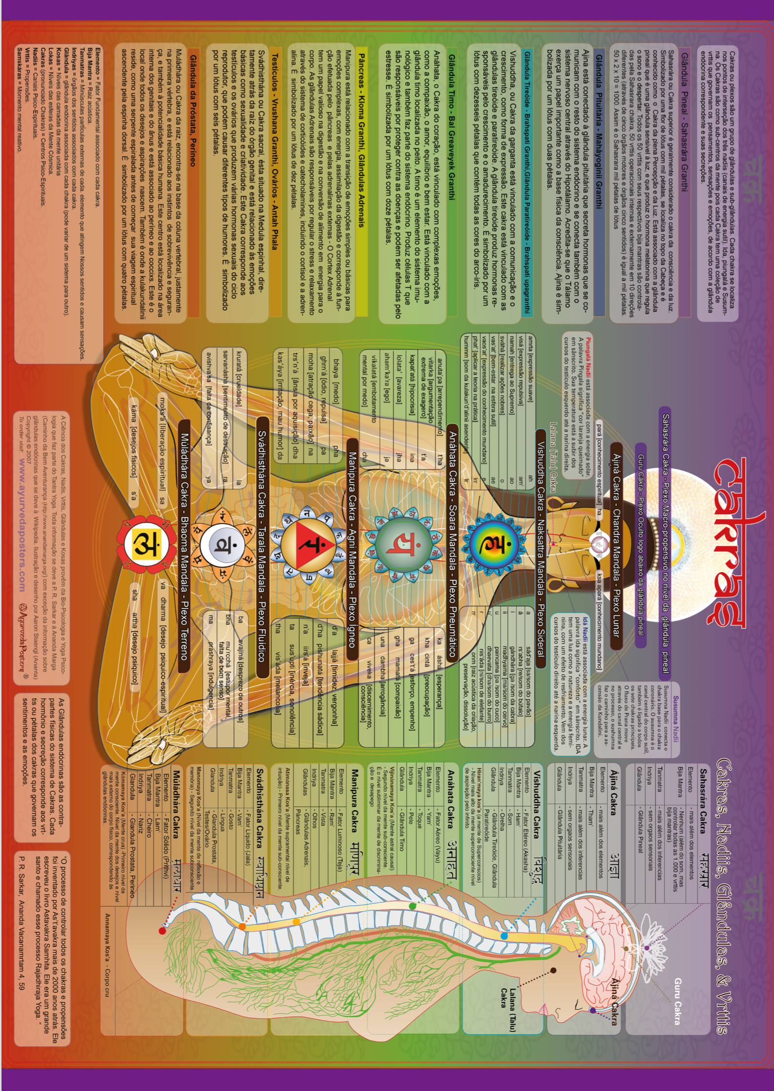 Poster Ayurveda Chakras