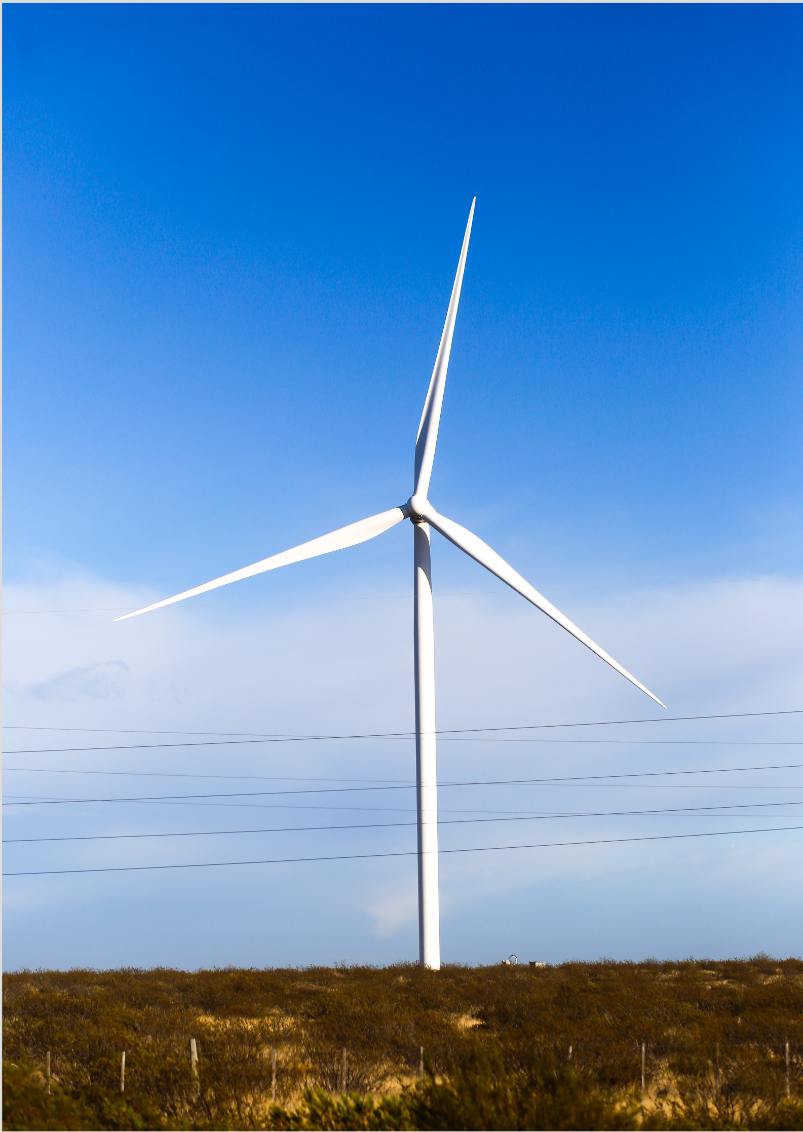 POSTER ENERGIA EÓLICA