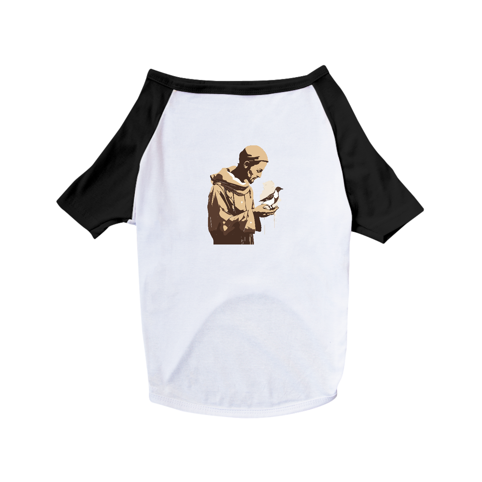 São Francisco de Assis 