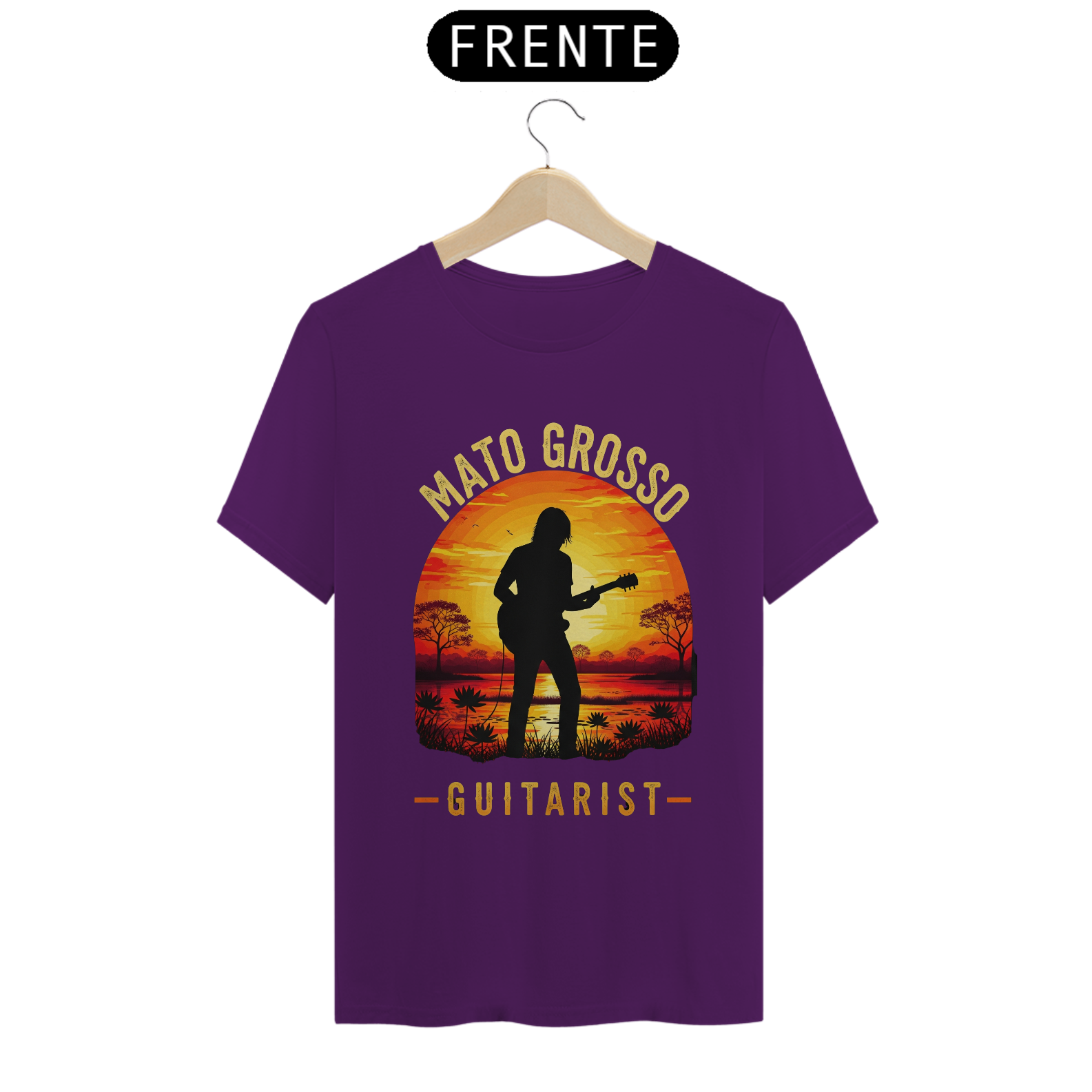 Guitarrista Mato Grosso MT