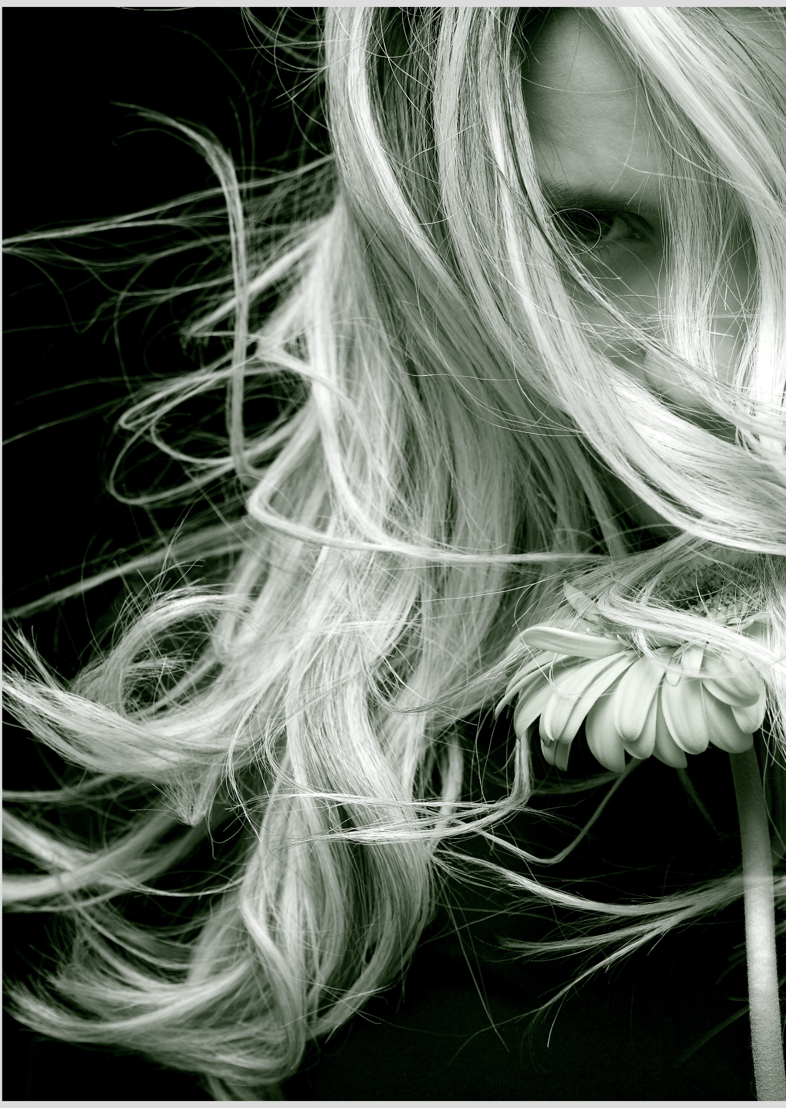 POSTER - MULHER LOIRA