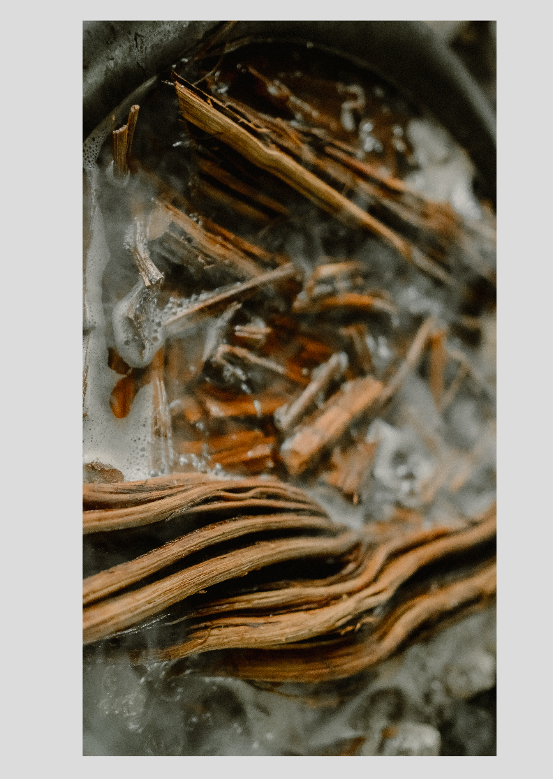 Ayahuasca - Coleção Amazônia Ancestral - Papel Fotográfico