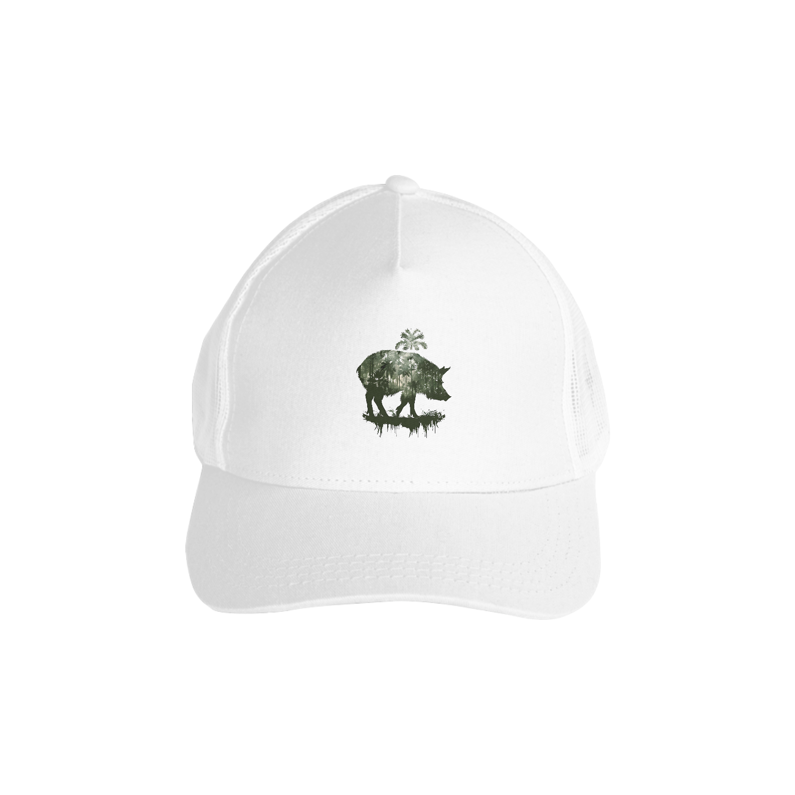 Queixa da Coleção Amazônia 