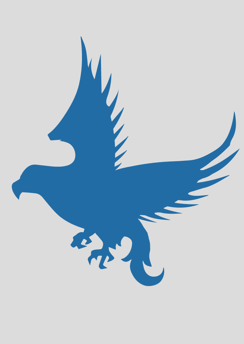 Nome do produto: Gavião